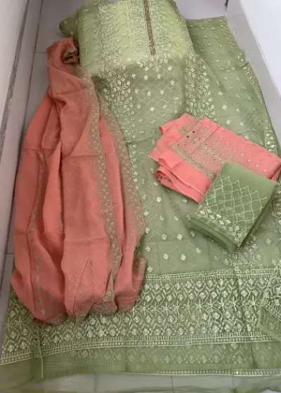 Barish Organza Light Kolapata Color