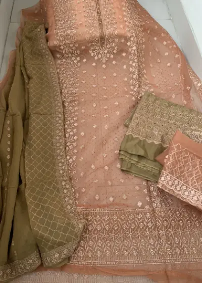 Barish Organza Light Onion Color