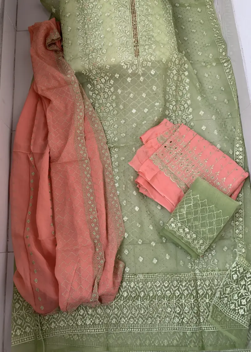 Barish Organza Light Kolapata Color