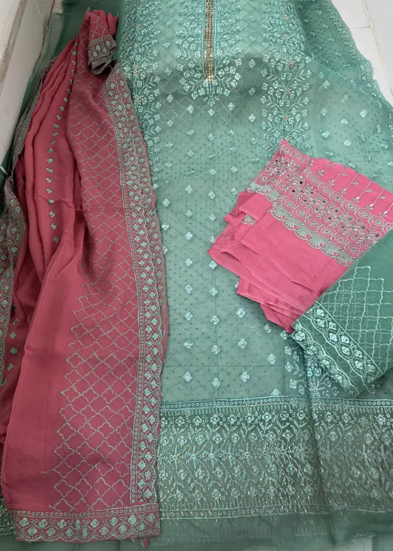 Barish Organza Light Green Color