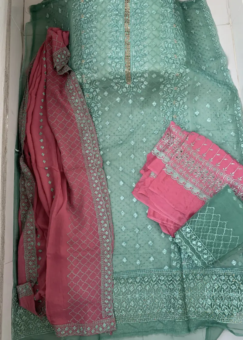 Barish Organza Light Green Color