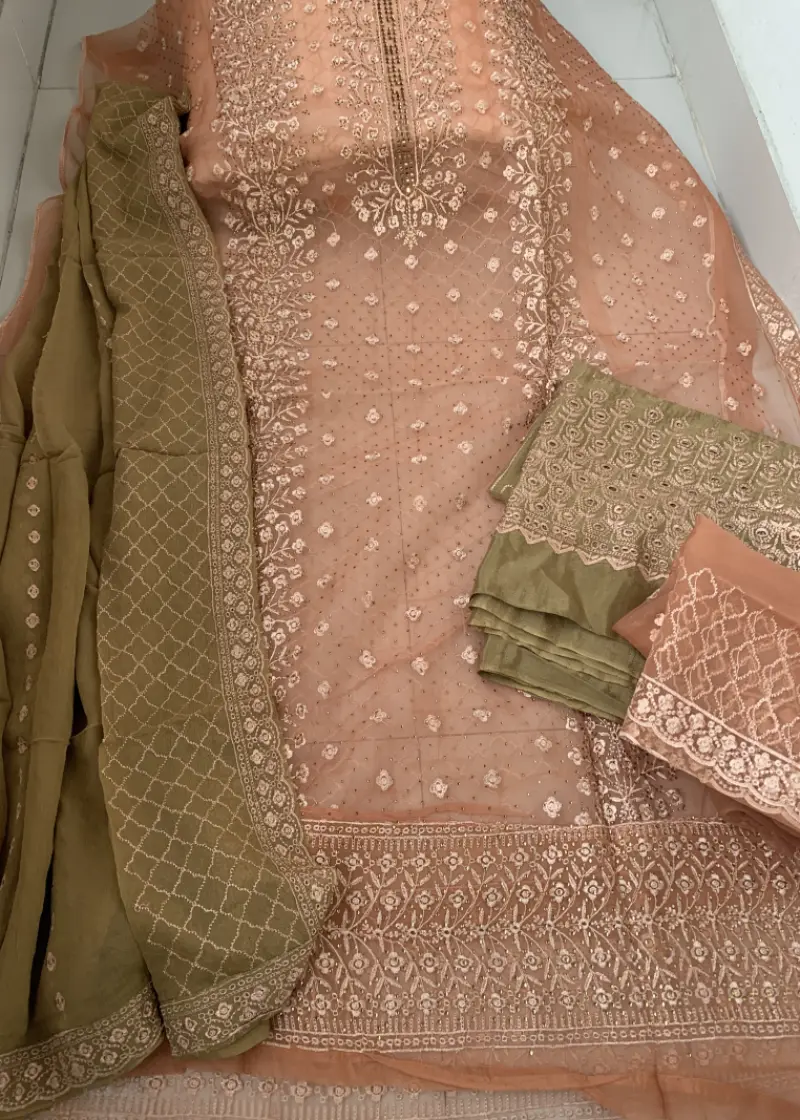 Barish Organza Light Onion Color