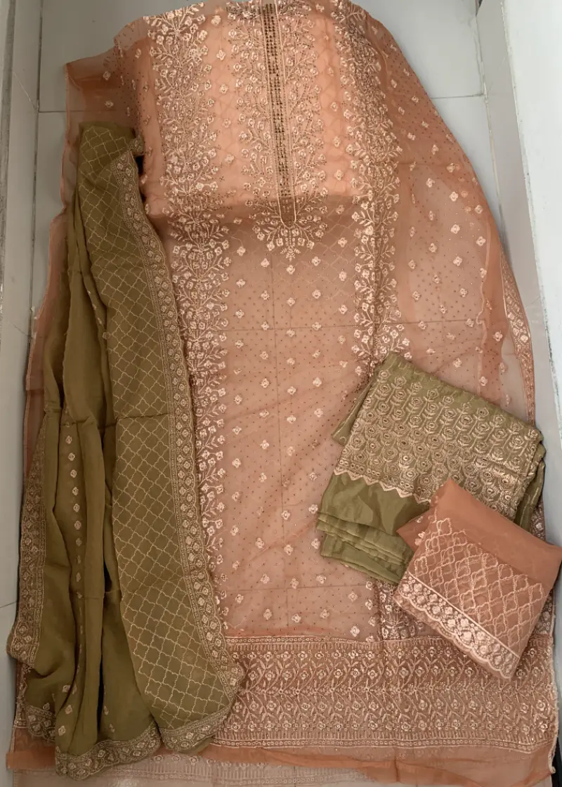 Barish Organza Light Onion Color