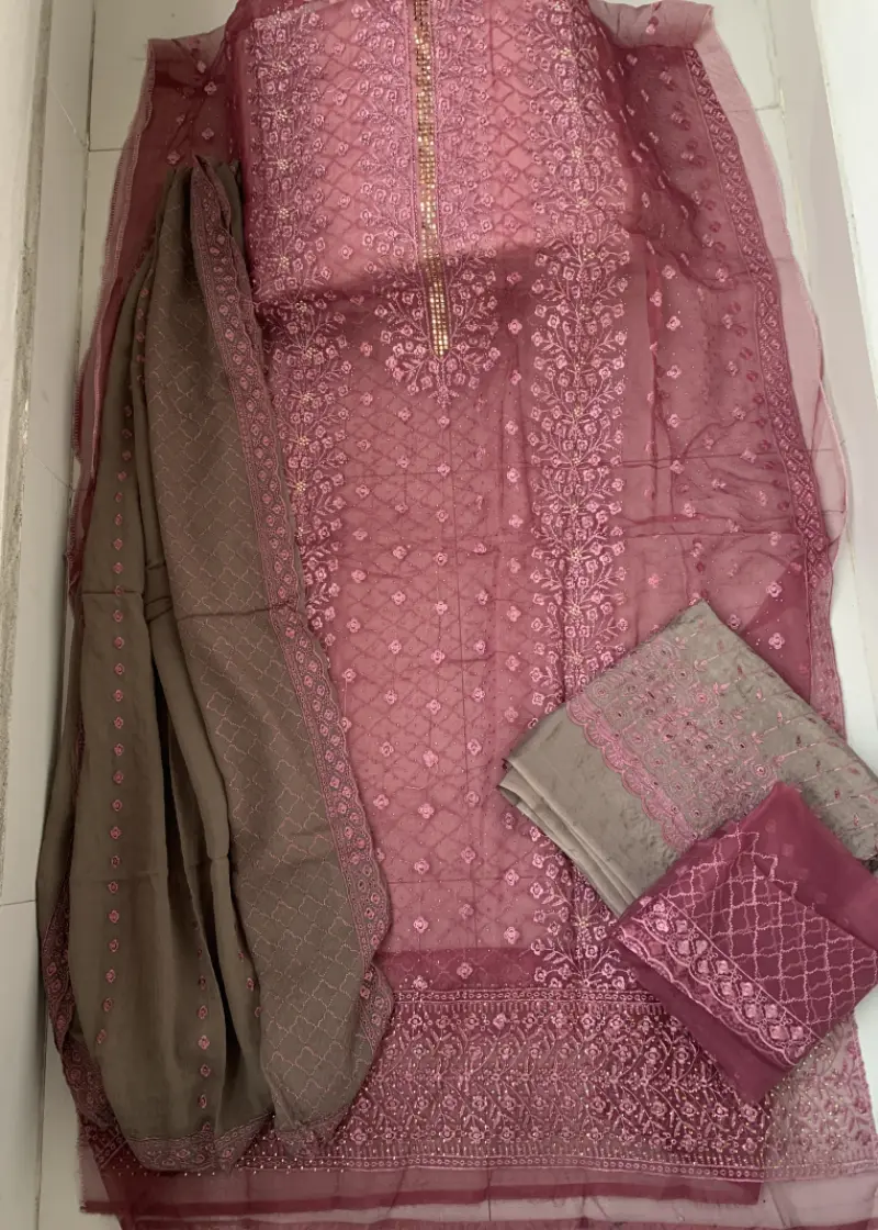 Barish Organza Jam Color