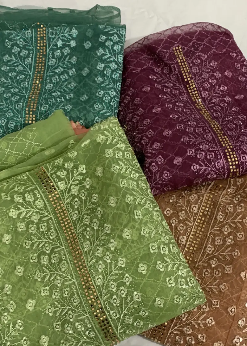 Barish Organza Light Kolapata Color