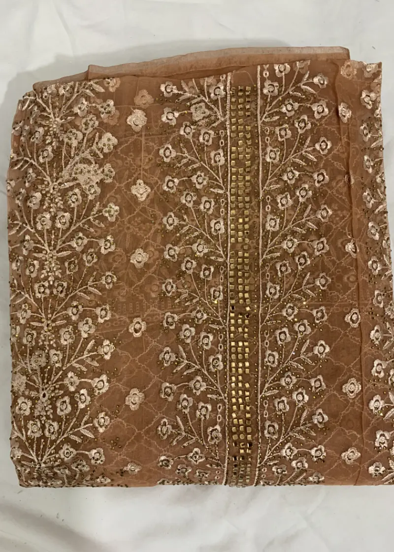 Barish Organza Light Onion Color