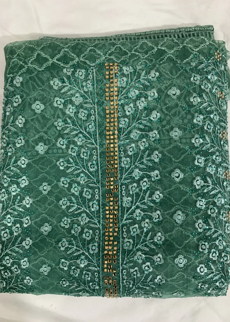 Barish Organza Light Green Color