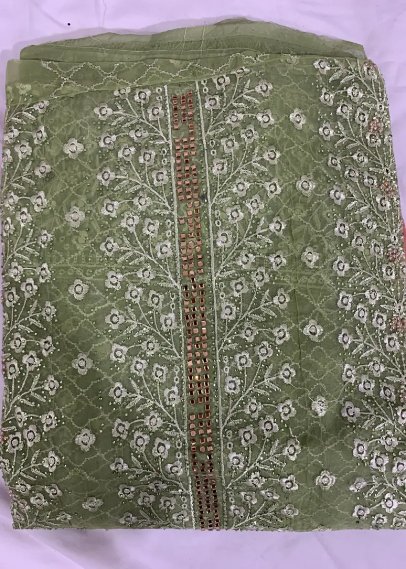 Barish Organza Light Kolapata Color